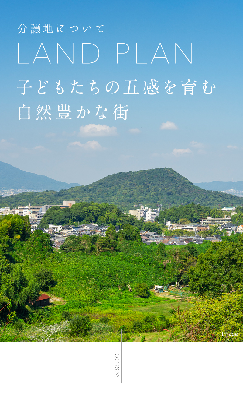 ゆとりの敷地✕小学校前✕便利な住環境 すべてを満たす 子育て家族のための特別区画